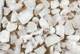 Quartz Crystals From Brazil Wholesale Flat - ~ Pieces #62056-1